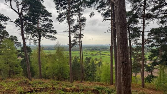 Corbet Wood Countryside Heritage Site 1